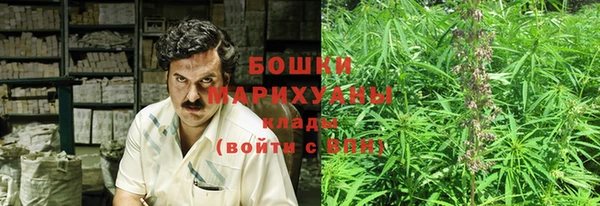 ешки Алзамай