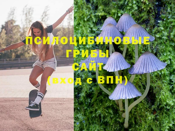 крисы Абинск