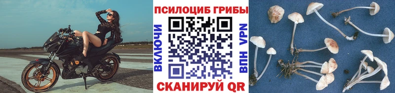 Галлюциногенные грибы MAGIC MUSHROOMS  Гусиноозёрск 